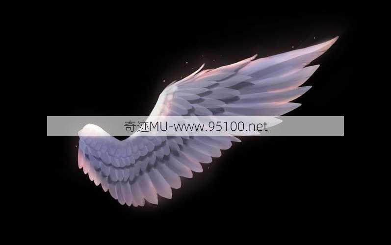 天使翼5.0免费版下载